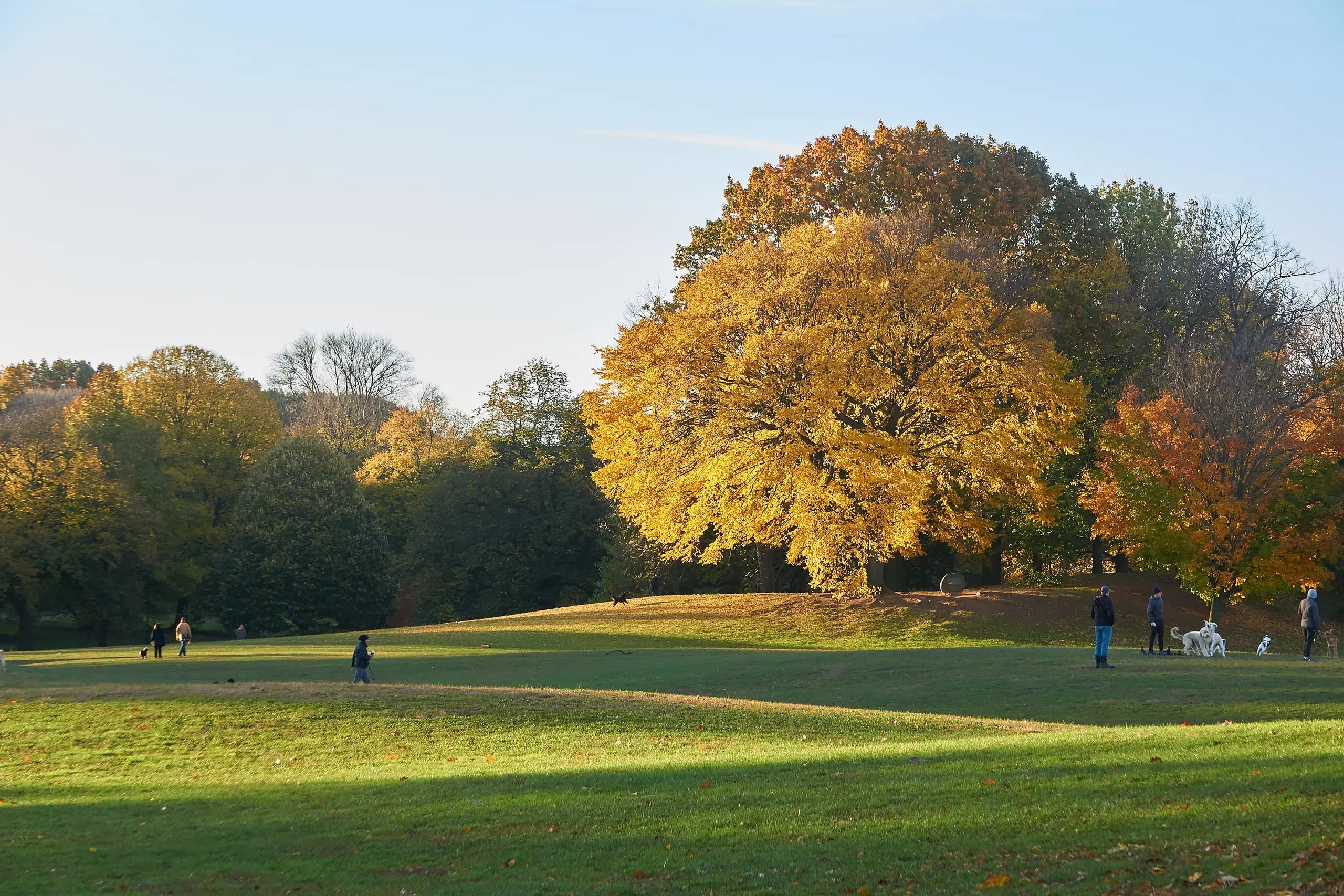 Prospect Park